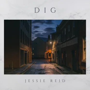 Dig