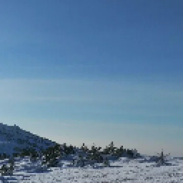 myrskyn jälkeen