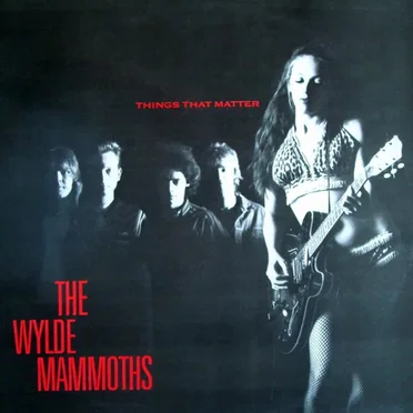 Things That Matter by The Wylde Mammoths - album cover