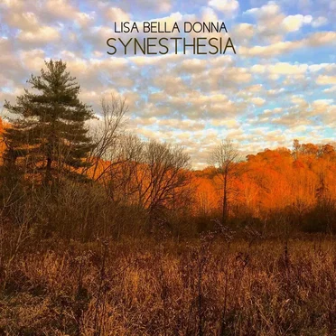 Synesthesia