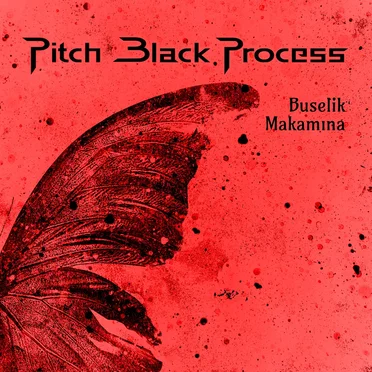 Buselik Makamına by Pitch Black Process - album cover
