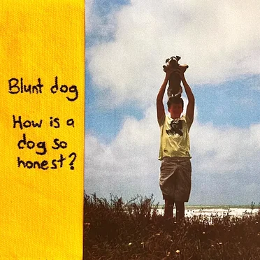 How is a dog so honest?
