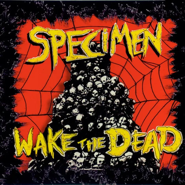 Wake The Dead