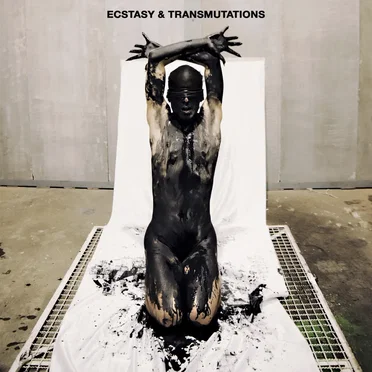 Ecstasy & Transmutations by Various Artists - album cover
