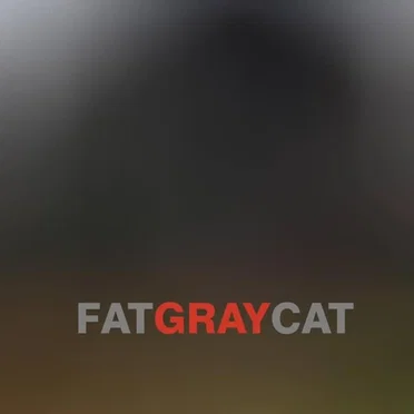 Album by Fat Gray Cat - album cover
