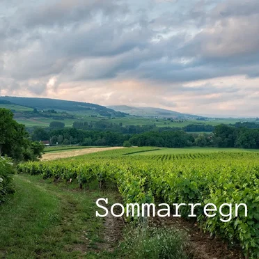 Sommarregn by Magnum Bonum - album cover