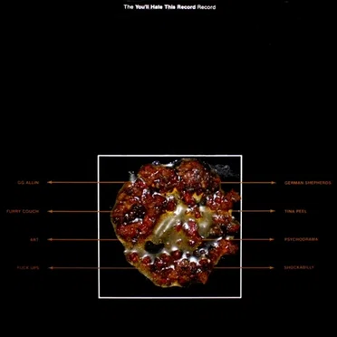 The "You'll Hate This Record" Record by Various Artists - album cover