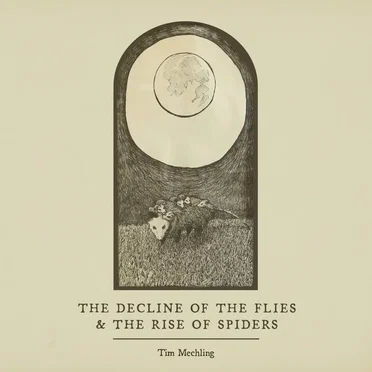 The Decline of the Flies and the Rise of Spiders