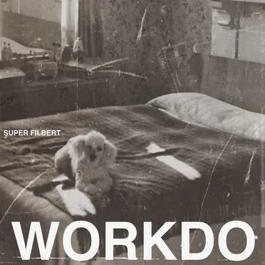 Super Filbert