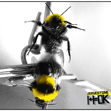 1+1=OK by Jeavestone - album cover
