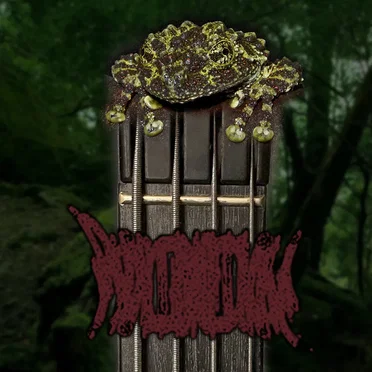 Your Lesson In Frognoise