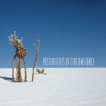 Possibilities of Circumstance by Various Artists - album cover
