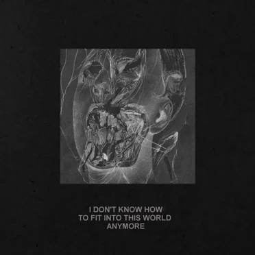 I don't know how to fit into this world anymore (EP)
