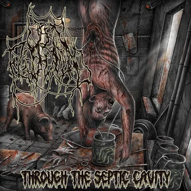 Through the Septic Cavity by Open Flesh Wound - album cover