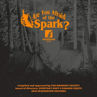 Are You Afraid of the Spark? by Various Artists - album cover
