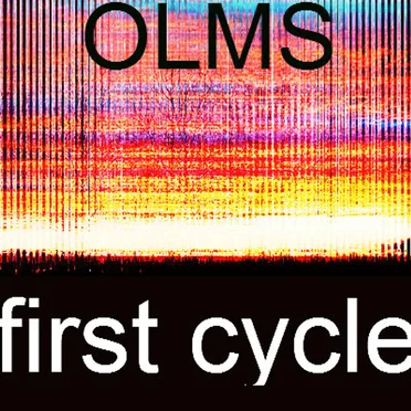 OLMS: first cycle