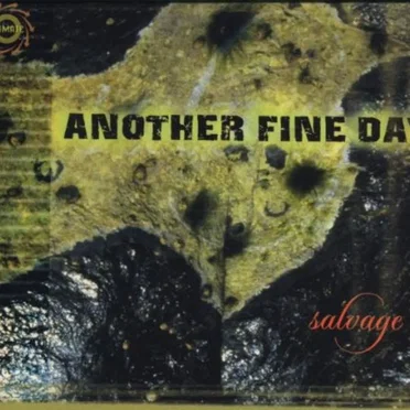Salvage by Another Fine Day - album cover