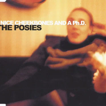 Nice Cheekbones and a Ph.D. by The Posies - album cover