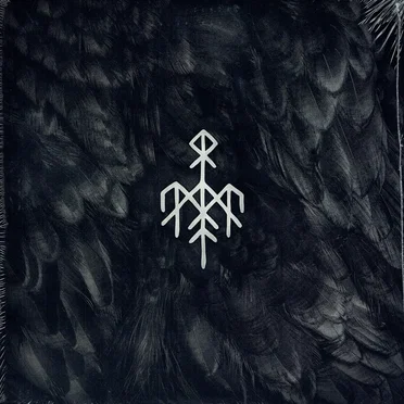 Kvitravn