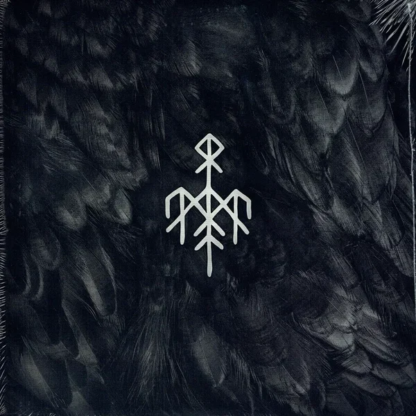Kvitravn