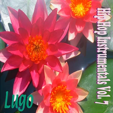 Hip Hop Instrumentals Vol. 7