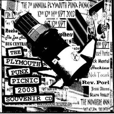 The 7th Annual Plymouth Punx Picnic by Various Artists - album cover