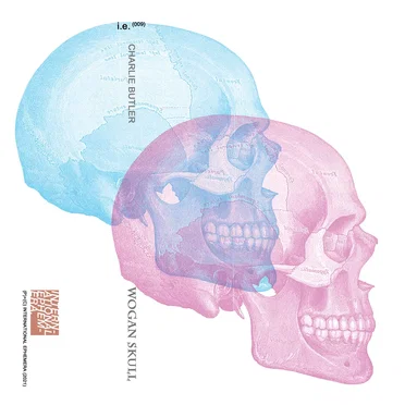 WOGAN SKULL