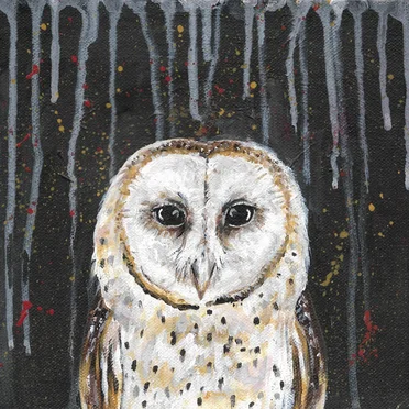 The Owl by Adeem the Artist - album cover