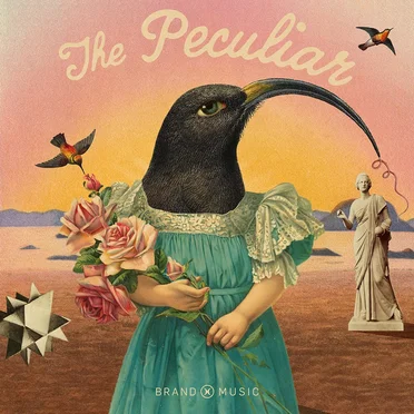 The Peculiar by Brand X Music - album cover