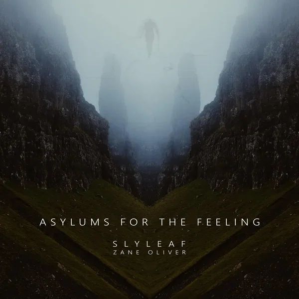 Asylums for the Feeling