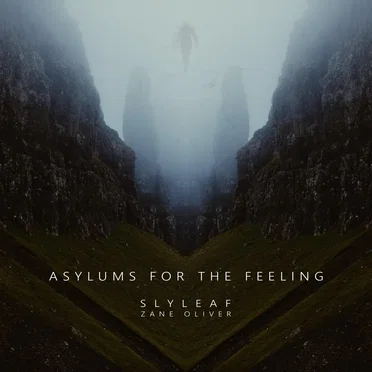 Asylums for the Feeling