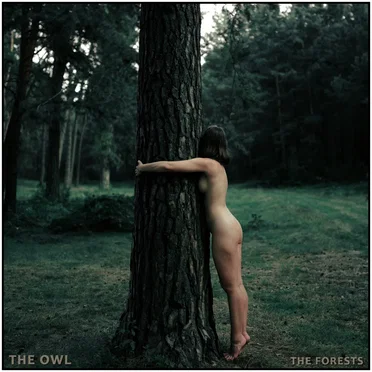 The Forests
