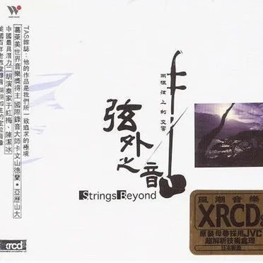 弦外之音 (两根弦上的交响)