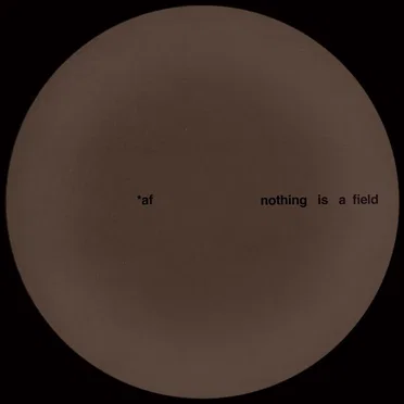 Nothing Is a Field