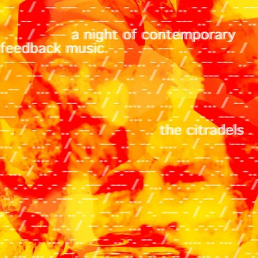 A Night of Contemporary Feedback Music