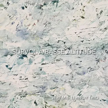 Survol à basse altitude by Jérémie Ternoy Trio - album cover