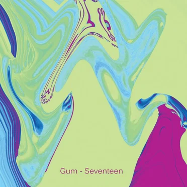 Seventeen by Gum - album cover