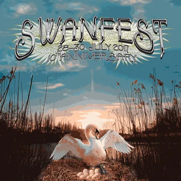 Swanfest 10th Anniversary by Various Artists - album cover