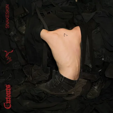 Snakeskin by cutouts - album cover