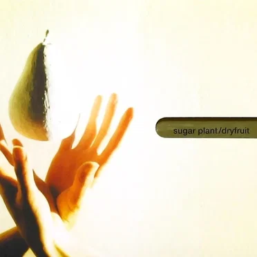 dryfruit by sugar plant - album cover