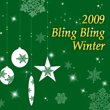 2009 Bling Bling Winter by Various Artists - album cover