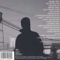 Don Henley artist image