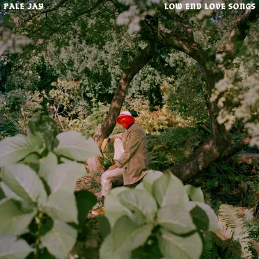 Low End Love Songs by Pale Jay - album cover