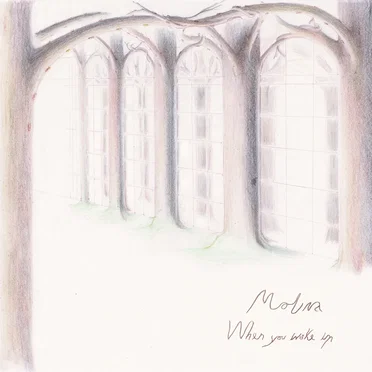 Organs by Molina - album cover