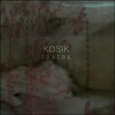 Fastas by Kosik - album cover