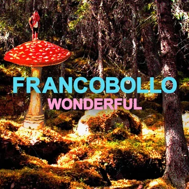 Wonderful by Francobollo - album cover