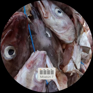 TUNlicious by Various Artists - album cover