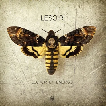 Luctor et Emergo