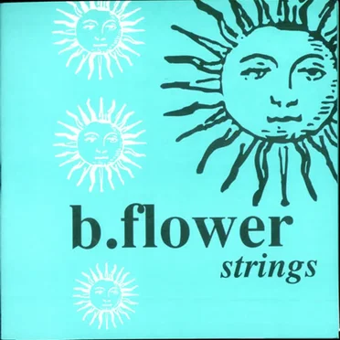 Strings