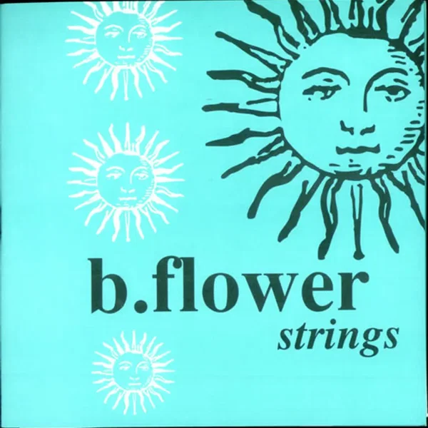 Strings